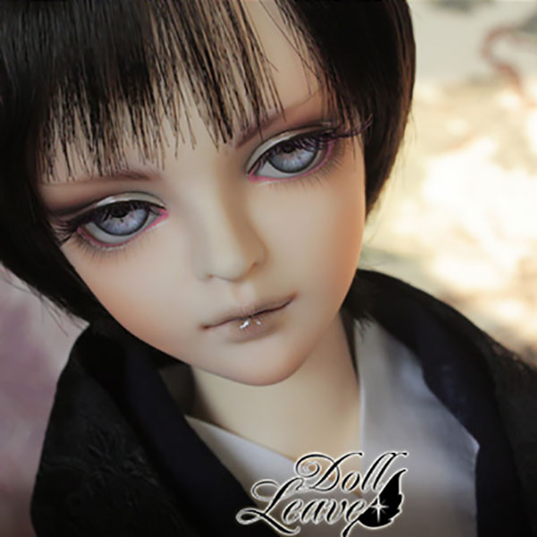 DollLeaves SD Myron