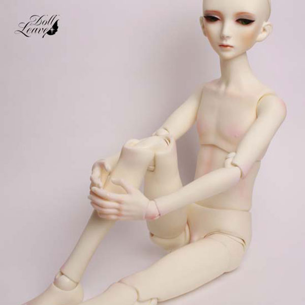 DollLeaves Parts 60cm SD Male Body DSB6002