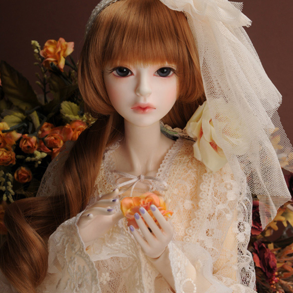 SD - Dollmore