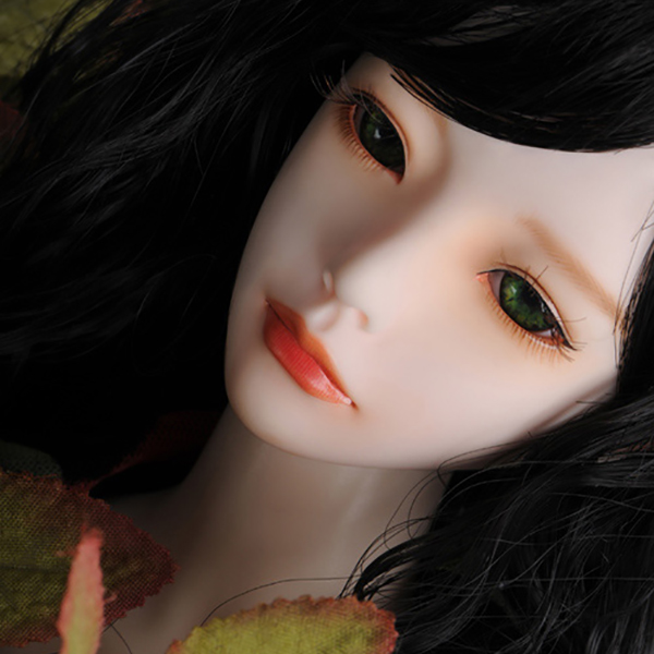 Dollmore BJD Zaoll Basic Luv