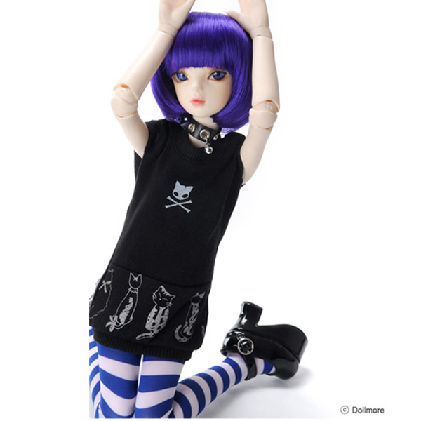 cat-party-msd-dollmore
