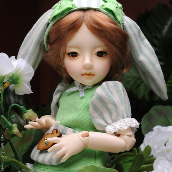 Dollmore YoSD BJD Dear Doll Coco