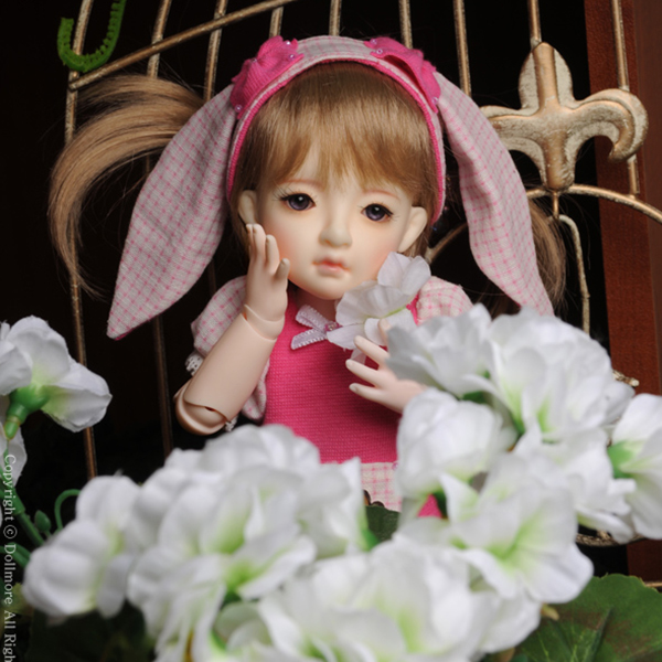 Dollmore YoSD BJD Dear Doll Coco