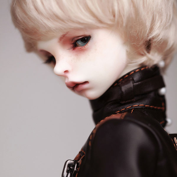 MSD Basic - DollZone