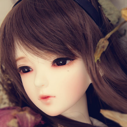 luts delf sd juhee