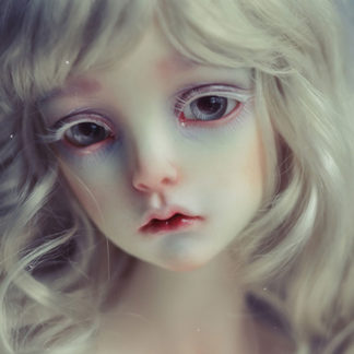 doll zone 1/3 sd nan