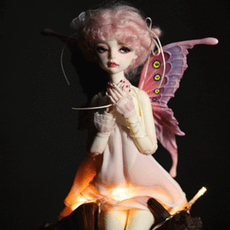dream valley msd clorise