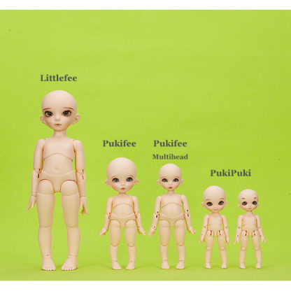 fairyland pukifee body size comparison