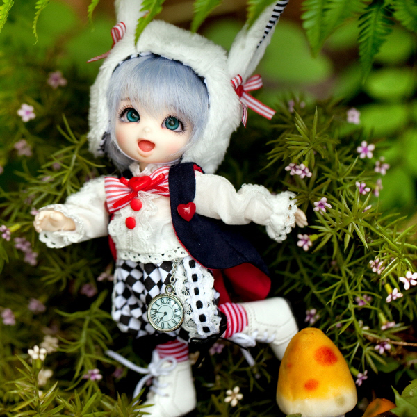 pukifee