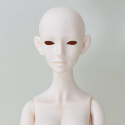 68cm Ke, Normal Skin, Blank - Image 4