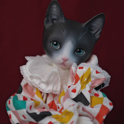maskcat msd pidan cat