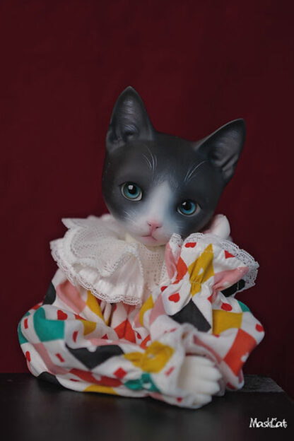maskcat msd pidan cat