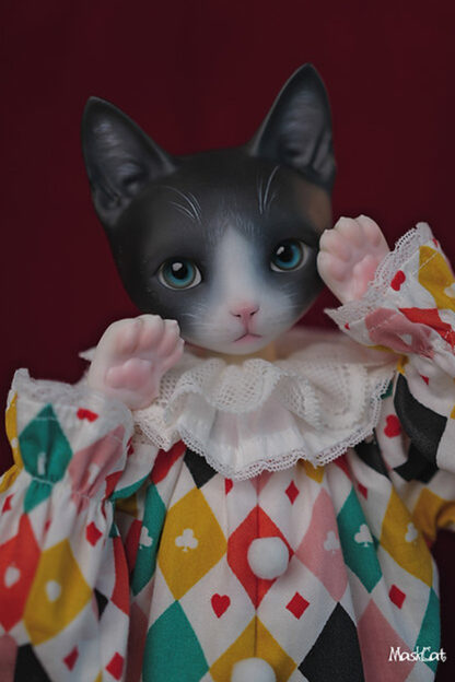 maskcat msd pidan cat