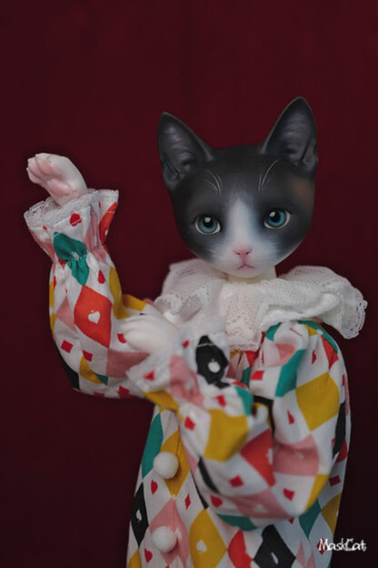 maskcat msd pidan cat