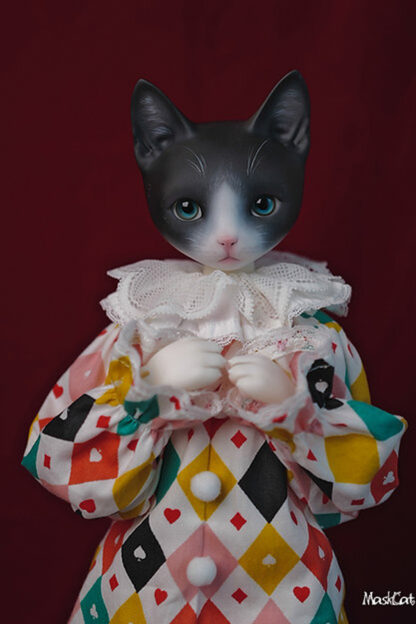 maskcat msd pidan cat