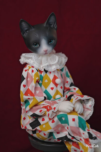 maskcat msd pidan cat