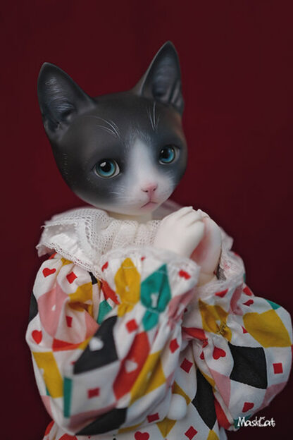 maskcat msd pidan cat