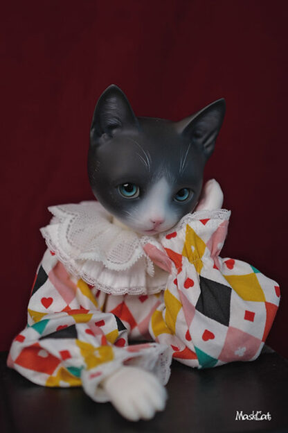 maskcat msd pidan cat