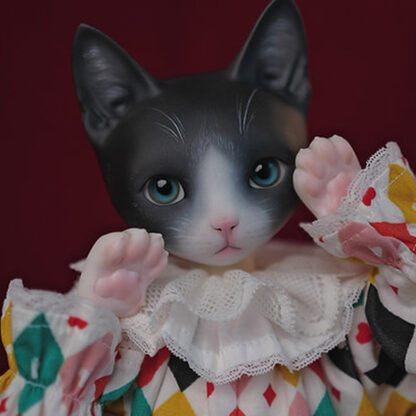 maskcat msd pidan cat
