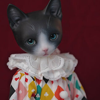 maskcat msd pidan cat
