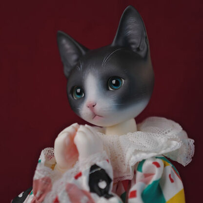 maskcat msd pidan cat