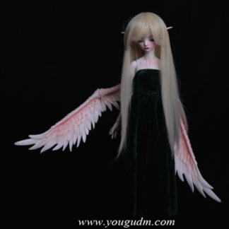 dream valley msd rosa