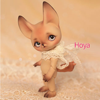 pipos animi hoya