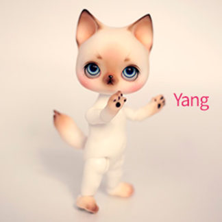 pipos animi yang