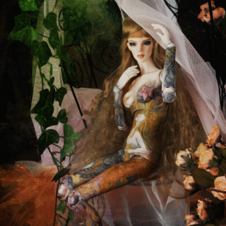doll more misia