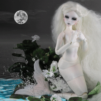 doll more mystic sea glass