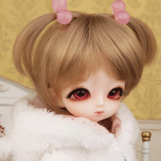 luts tiny delf 16 gelda