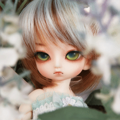 luts tiny delf 16 kai elf