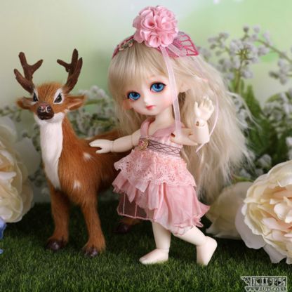 luts tiny delf 16 yeondu