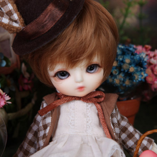 luts tiny delf 16 zeze