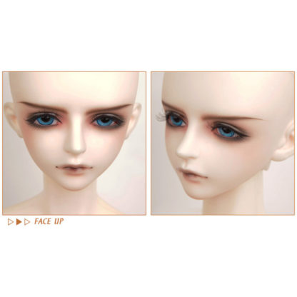 luts senior delf xylon