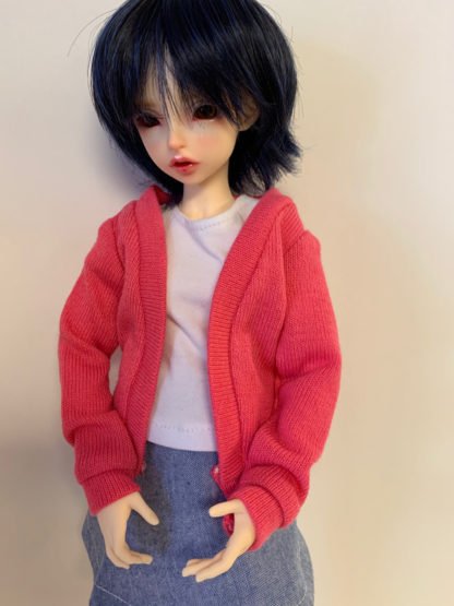 designs by dde cardi bjd