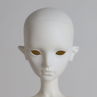 dream valley collier msd