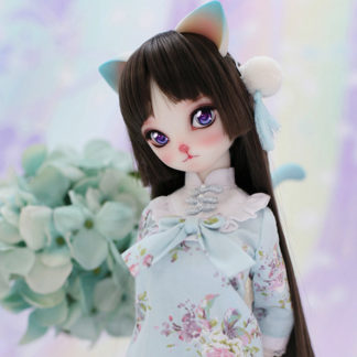 aimerai msd mao series lan