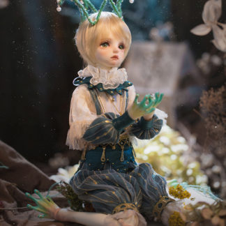 doll zone msd ray