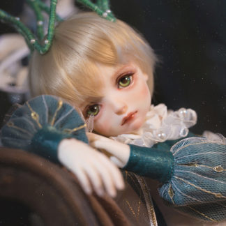 doll zone msd ray