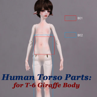 dream valley msd human torso parts