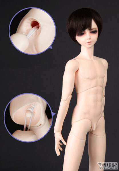 luts senior delf boy body 4