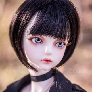 luts model delf ann