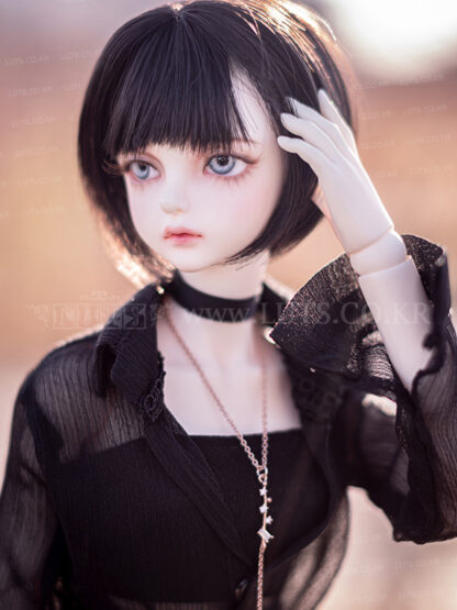 luts model delf ann