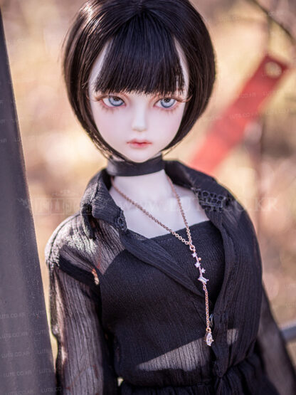 luts model delf ann