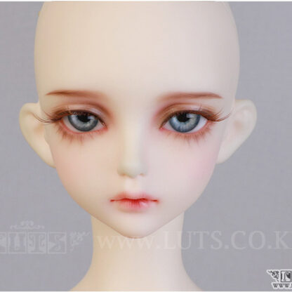 luts model delf ann