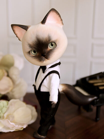 pipos siamese pang cat