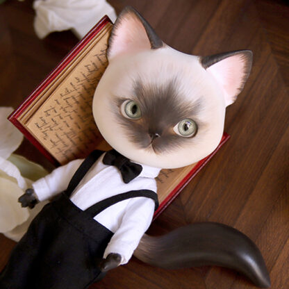 pipos siamese pang cat