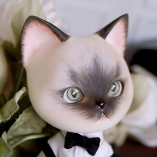 pipos siamese pang cat
