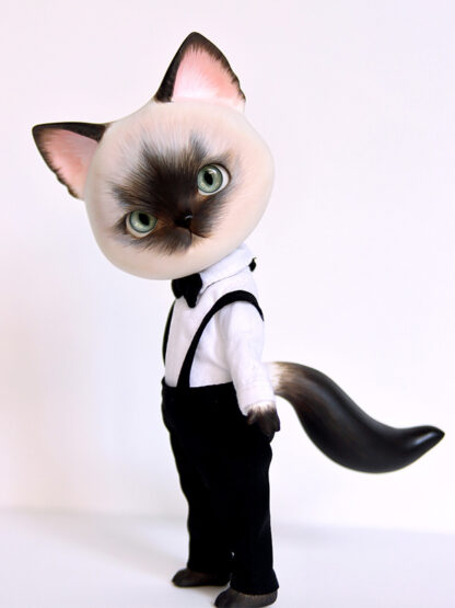 pipos siamese pang cat